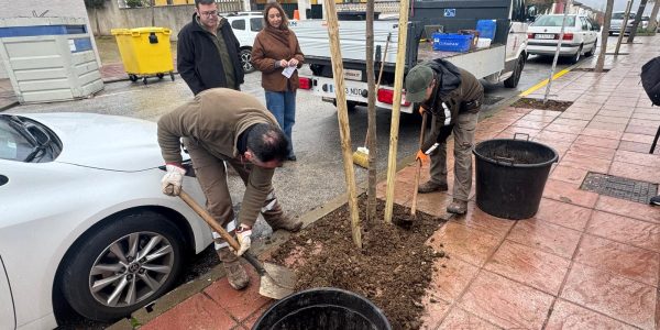 El plan iniciado en la Torrecilla responde a una demanda ciudadana.