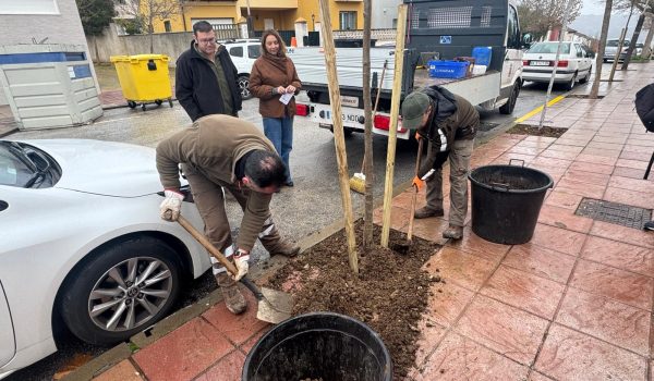 El plan iniciado en la Torrecilla responde a una demanda ciudadana.