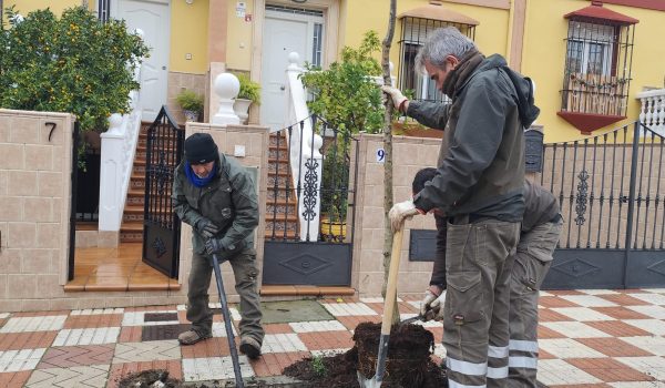 Se quieren completar los 4.000 árboles que se estima que hay en nuestra ciudad