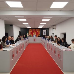 Imagen del pleno ordinario de enero