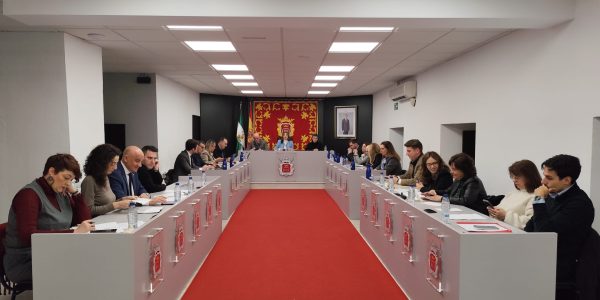 Imagen del pleno ordinario de enero