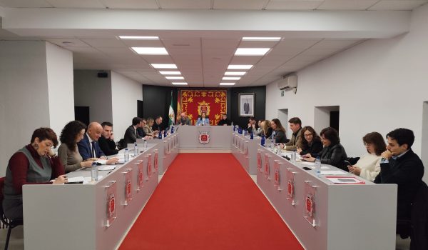 Imagen del pleno ordinario de enero