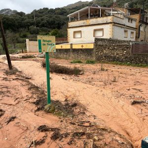 La Estación de Benaoján esta mañana