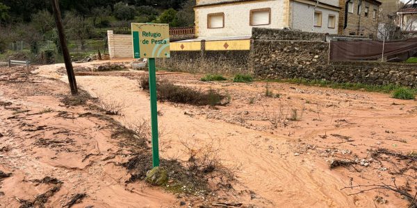La Estación de Benaoján esta mañana