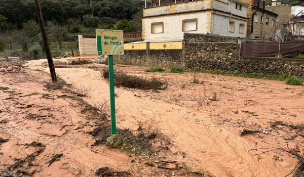 La Estación de Benaoján esta mañana