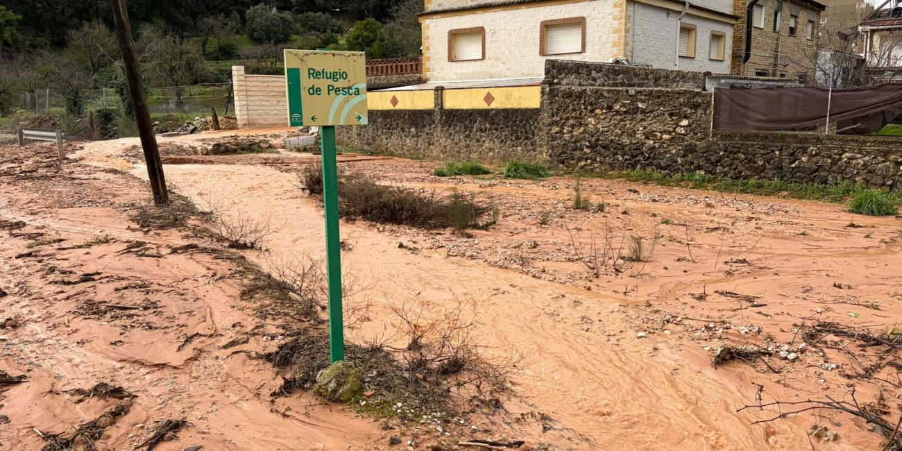 La Estación de Benaoján esta mañana