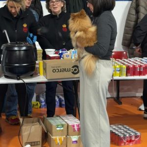 Decenas de personas acuden diariamente al polideportivo El Fuerte