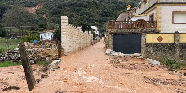 En este estado se encontraba esta barriada de Benaoján hace apenas una semana