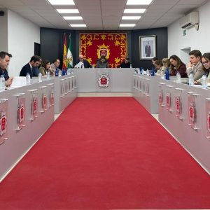 Imagen del salón de plenos durante la sesión