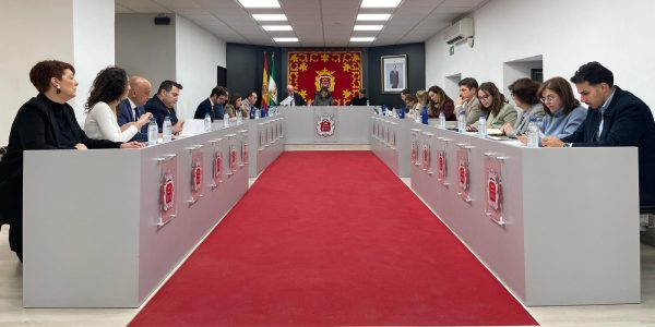 Imagen del salón de plenos durante la sesión