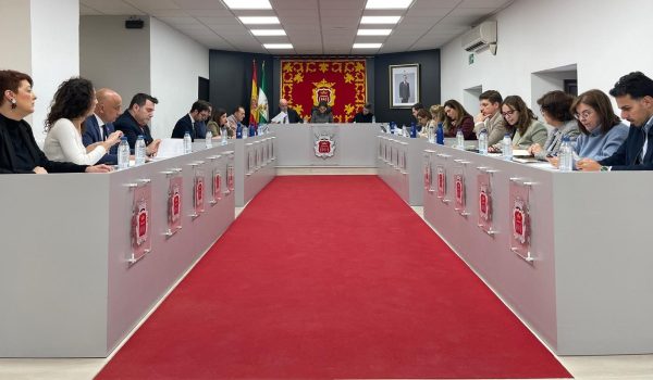 Imagen del salón de plenos durante la sesión