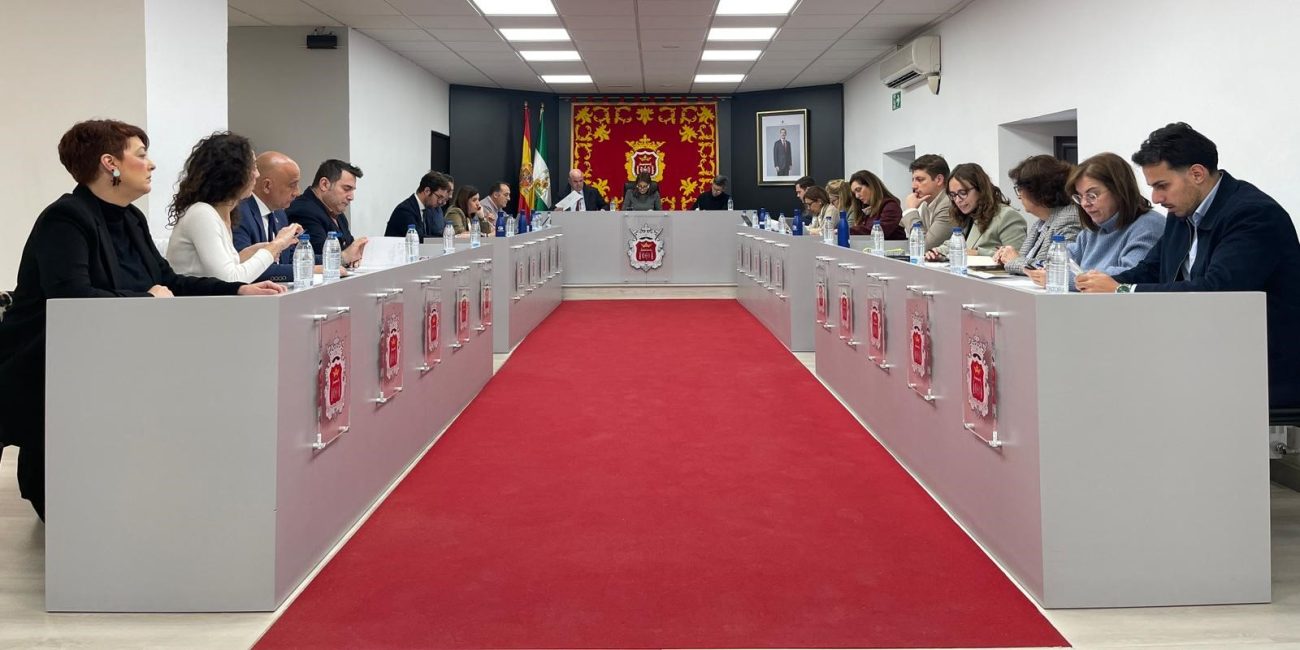 Imagen del salón de plenos durante la sesión