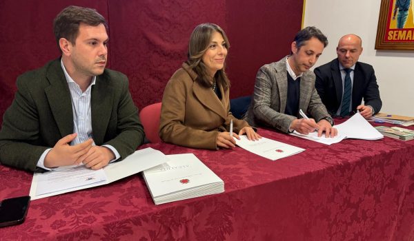 WhatsApp Image 2026-03-05 at 13.33.54