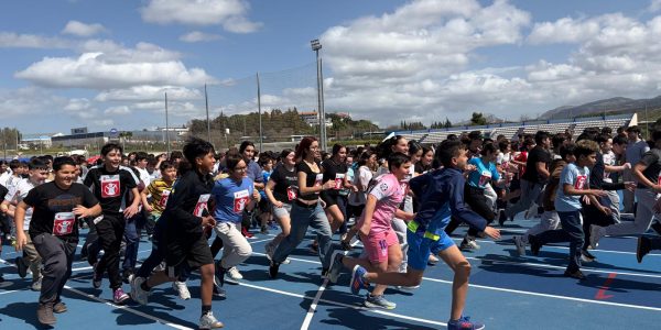 WhatsApp Image 2026-03-20 at 12.03.48