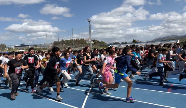 WhatsApp Image 2026-03-20 at 12.03.48