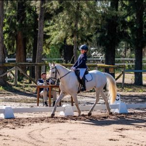 WhatsApp Image 2026-04-20 at 12.24.44