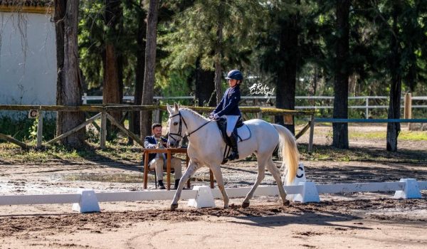 WhatsApp Image 2026-04-20 at 12.24.44