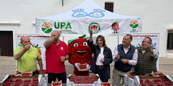 La iniciativa ha tenido lugar en la plaza del Teniente Arce