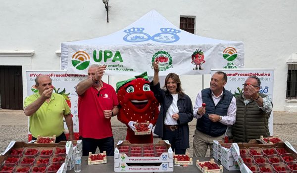 La iniciativa ha tenido lugar en la plaza del Teniente Arce