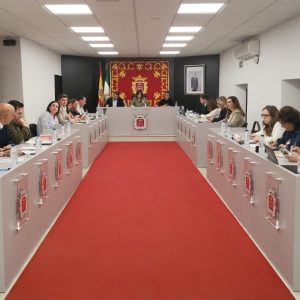 Imagen del salón de plenos