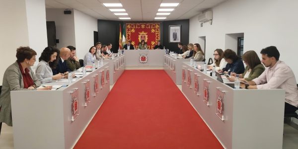 Imagen del salón de plenos