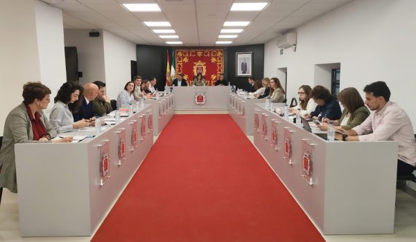 Imagen del salón de plenos
