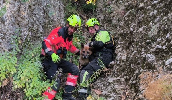 Imagen del rescate