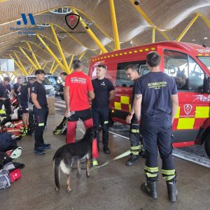Imagen del operativo en Madrid