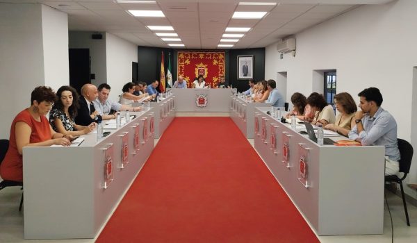 Imagen del pleno ordinario correspondiente al mes de julio