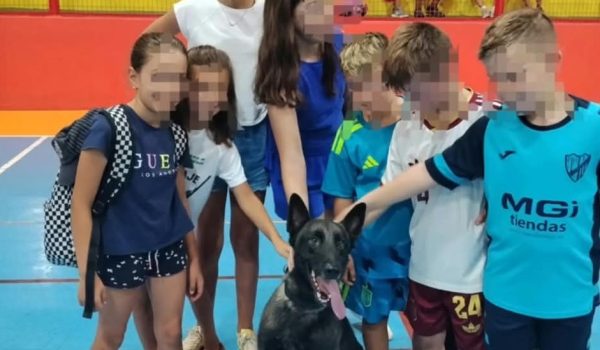 Los niños pudieron interactuar con los animales