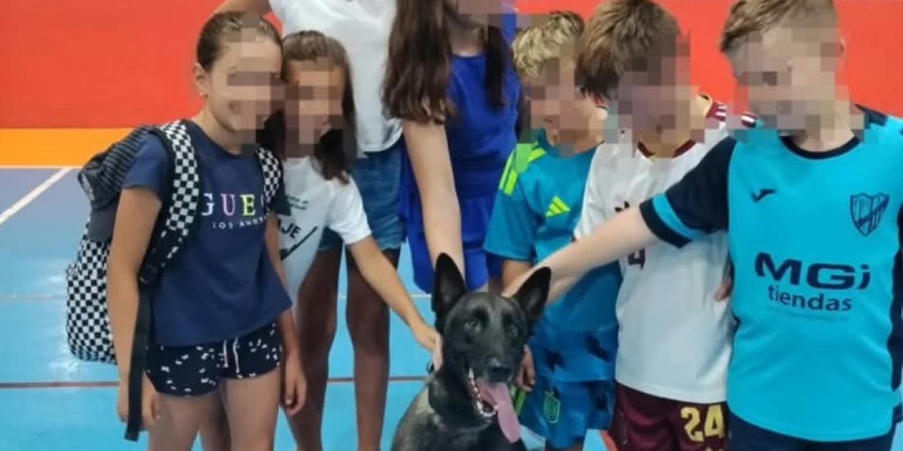 Los niños pudieron interactuar con los animales