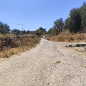 Imagen del entorno del Carril del Cuco