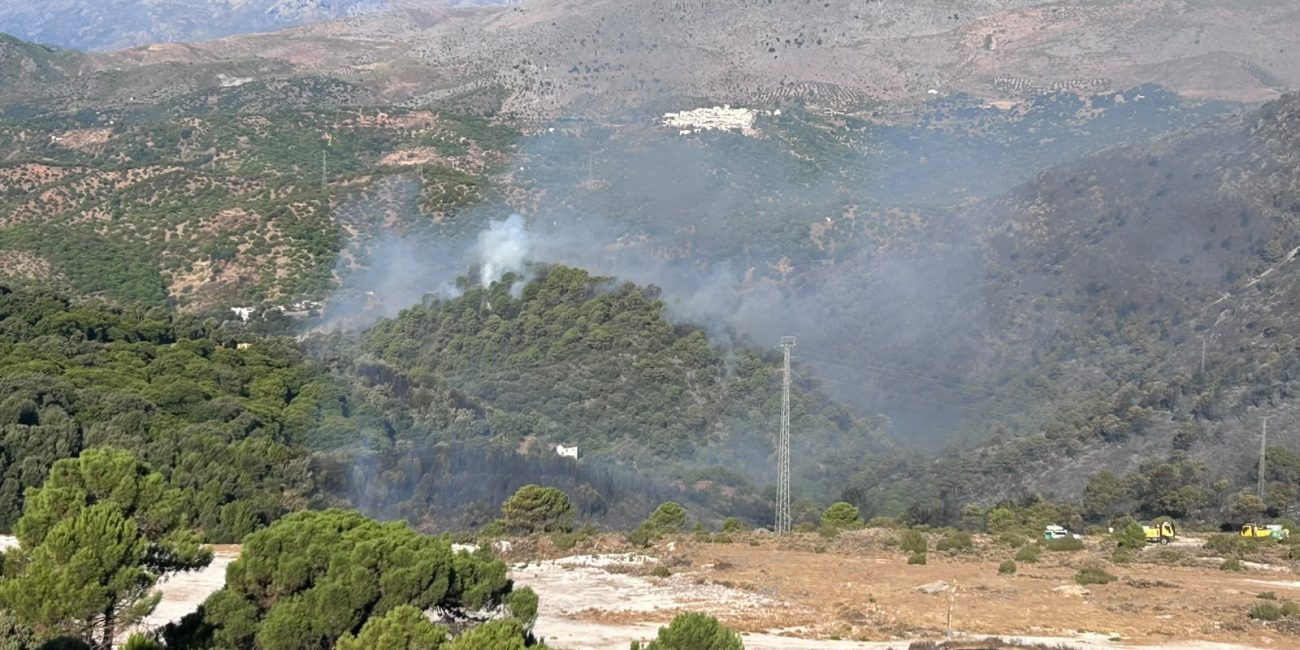 Estado del incendio durante la jornada de ayer.