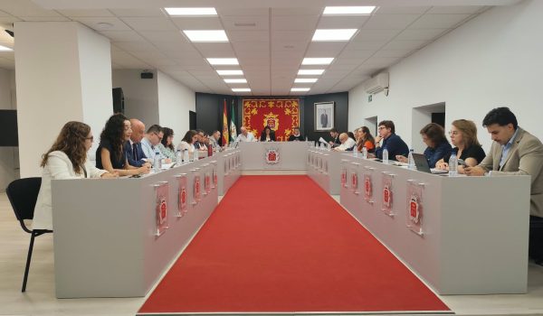 Imagen del pleno del mes de septiembre