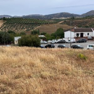 Se ubicará en el entorno de La Galia