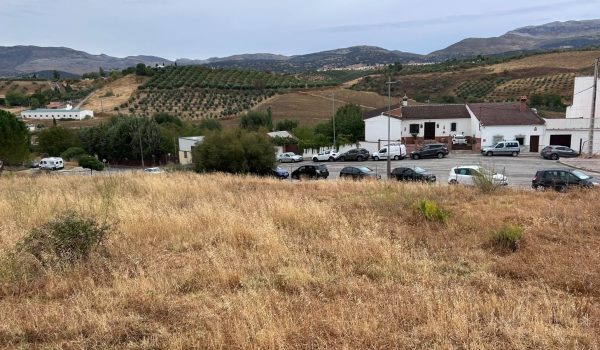 Se ubicará en el entorno de La Galia
