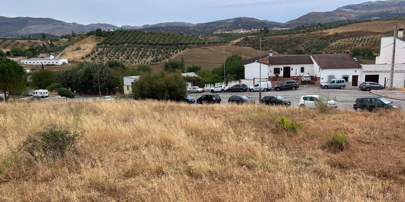 Se ubicará en el entorno de La Galia