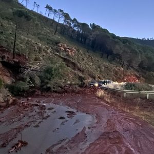 Imagen de la carretera MA-8301, que conecta Jubrique con Estepona