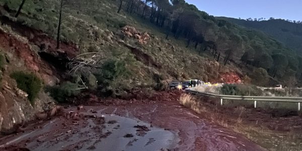 Imagen de la carretera MA-8301, que conecta Jubrique con Estepona