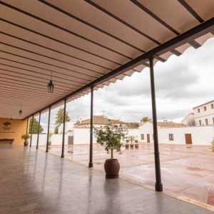 La entrada a las conferencias será libre hasta completar aforo