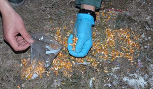 Las pesquisas llevaron a los agentes hasta una finca localizada en la zona de La Toma.