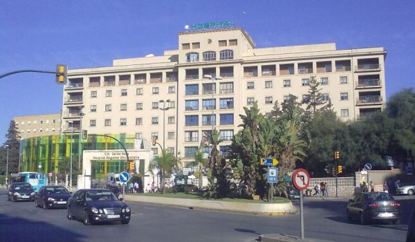 La mujer permanece ingresada en la UCI del Hospital Regional Carlos Haya.