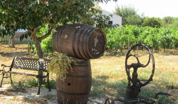 El curso busca capacitar a los alumnos en los ámbitos de la viticultura, vinicultura y el turismo asociado.