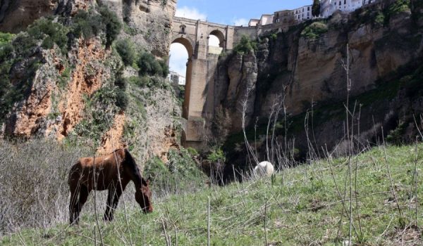 Será la Junta de Andalucía quien conceda la catalogación a las Cornisas del Tajo.