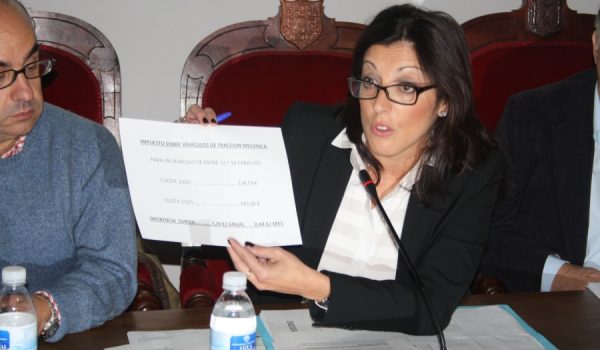 La delegada de Economía y Hacienda, María del Carmen Martínez, durante su intervención en el Pleno celebrado esta mañana.