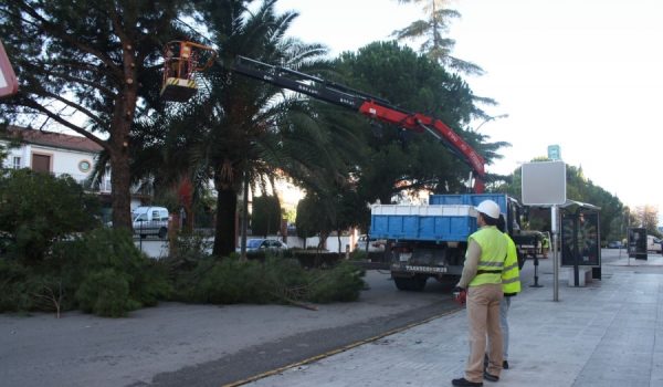 Los trabajos se han iniciado a las nueve de la mañana de hoy.