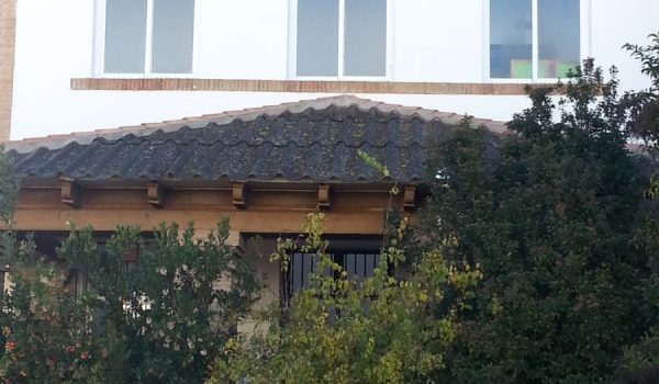 Técnicos de Medio Ambiente se desplazarán hasta el centro escolar para realizar las tareas pertinentes que impidan la entrada de las palomas.