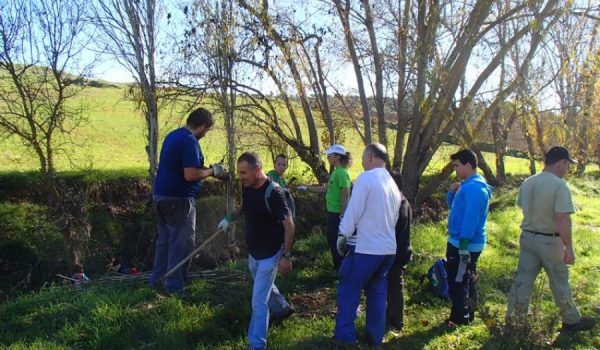 Un veintena de voluntarios participaron en la actividad.