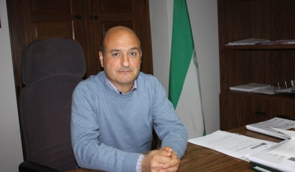 Los árboles se pueden entregar en las oficinas de la Delegación Municipal de Medio Ambiente.