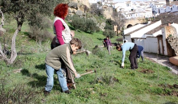La mayoría de las personas que colaboraron pertenecen a la Red de Voluntarios Medio Ambientales de la Serranía de Ronda.